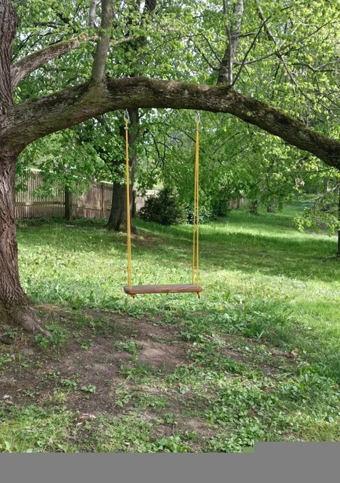 Dřevěná houpačka pod stromem